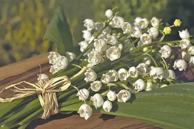 lily of the valley wedding bouquet