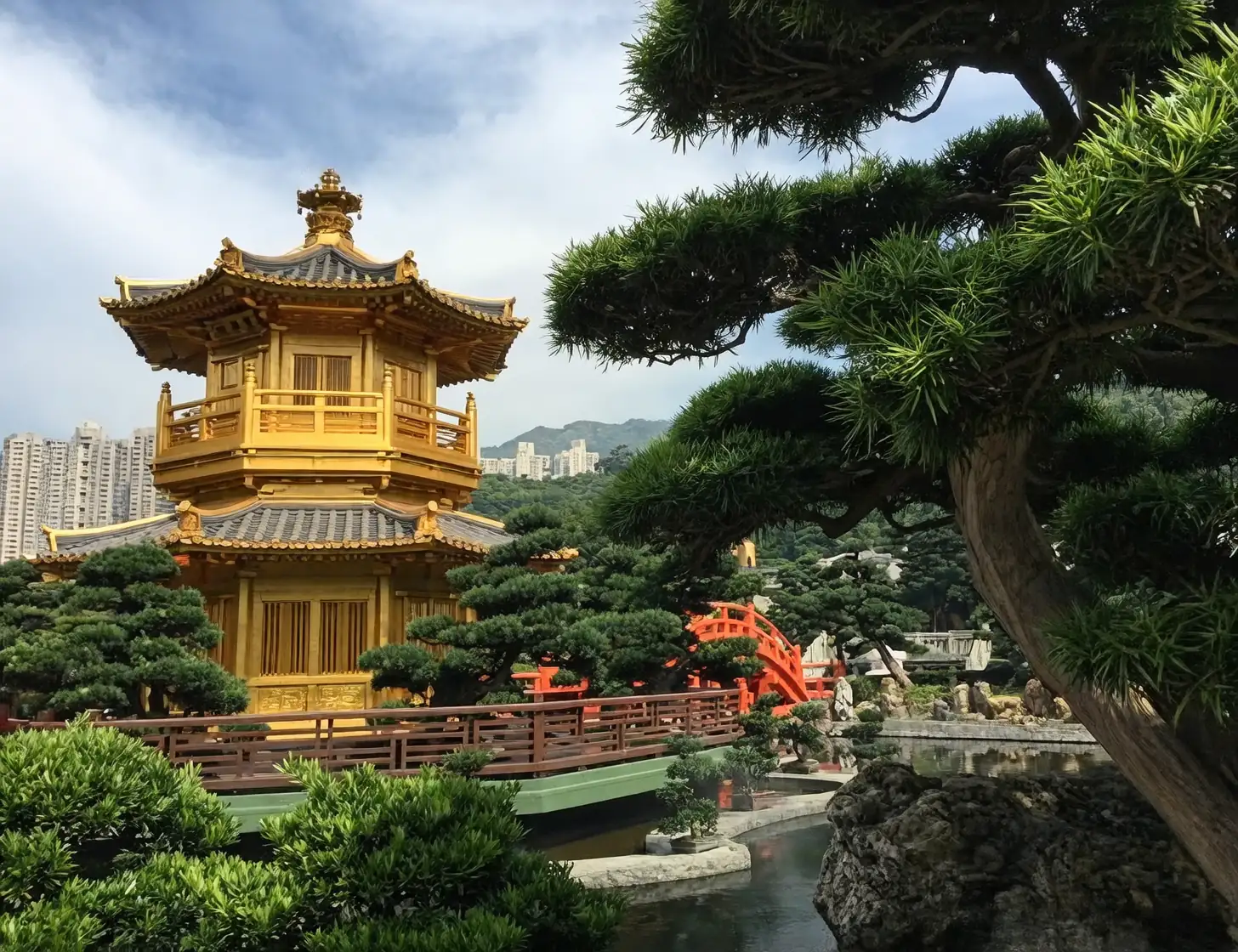 August Lily in traditional Chinese garden