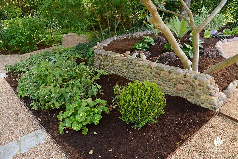 august lily shade garden design