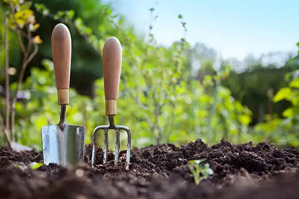 gardening tools on soil