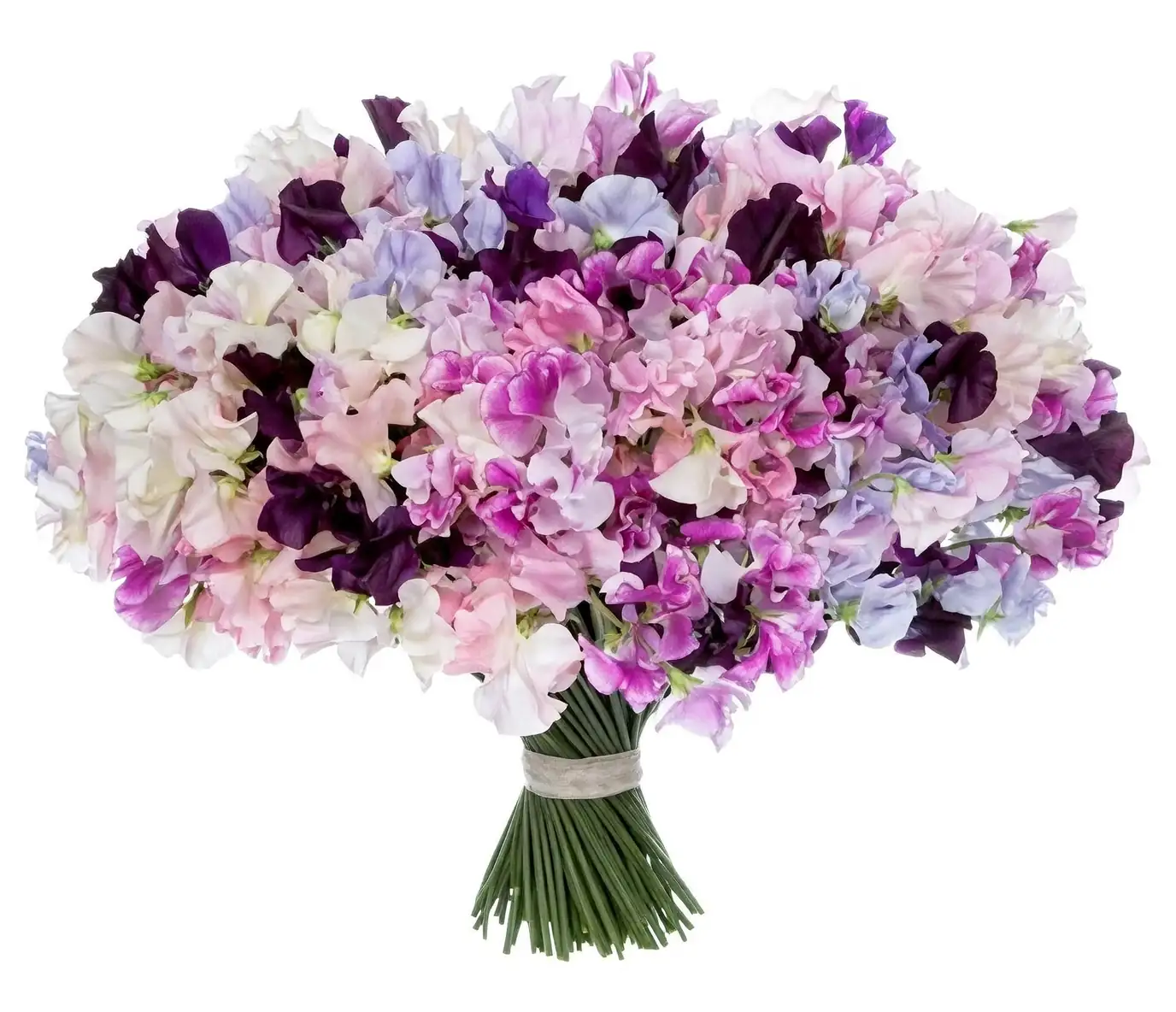 Sweet pea bouquet for wedding