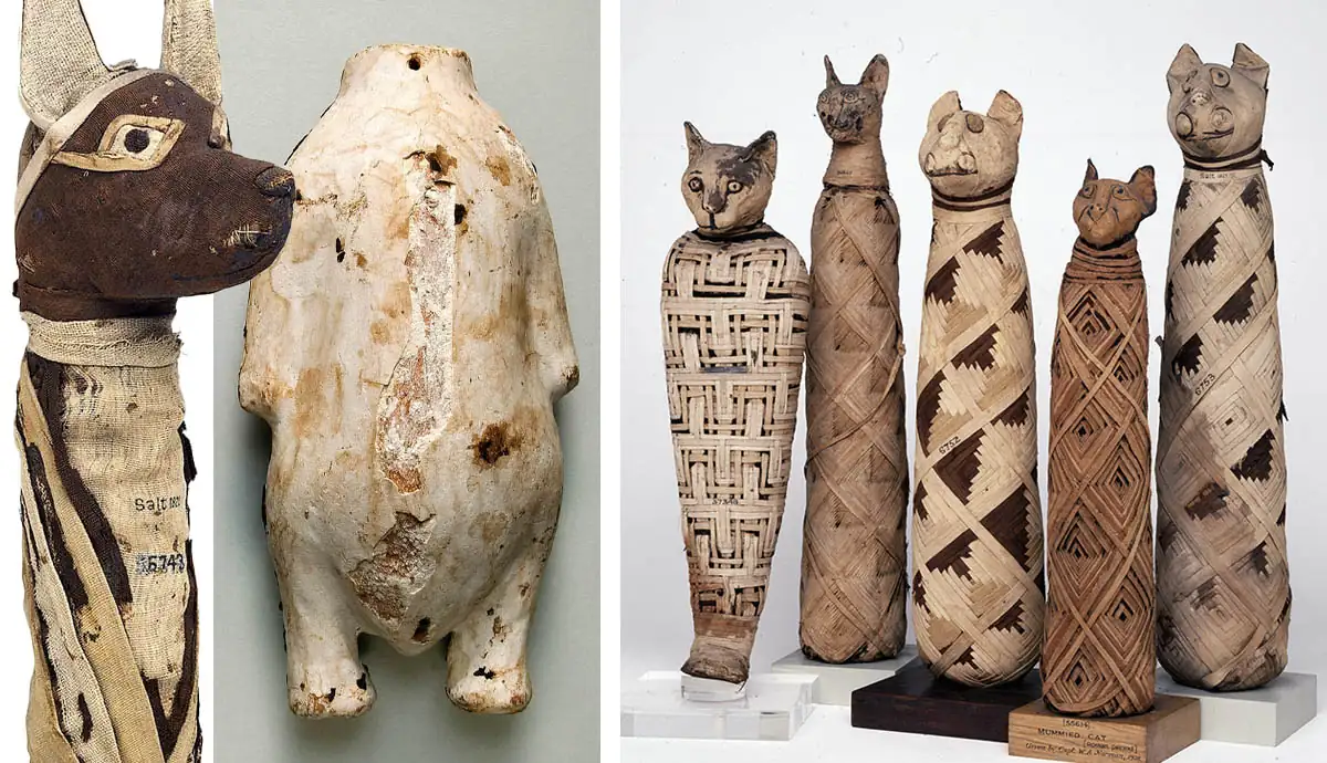 ancient Egyptian catnip use