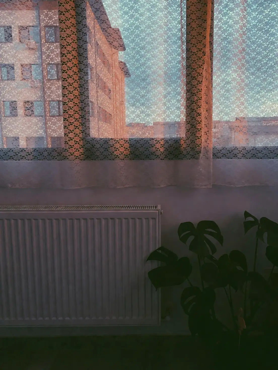 gardenia near window with curtain