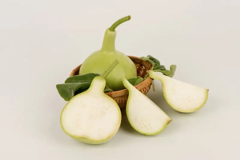 gardenia fruit traditional craft
