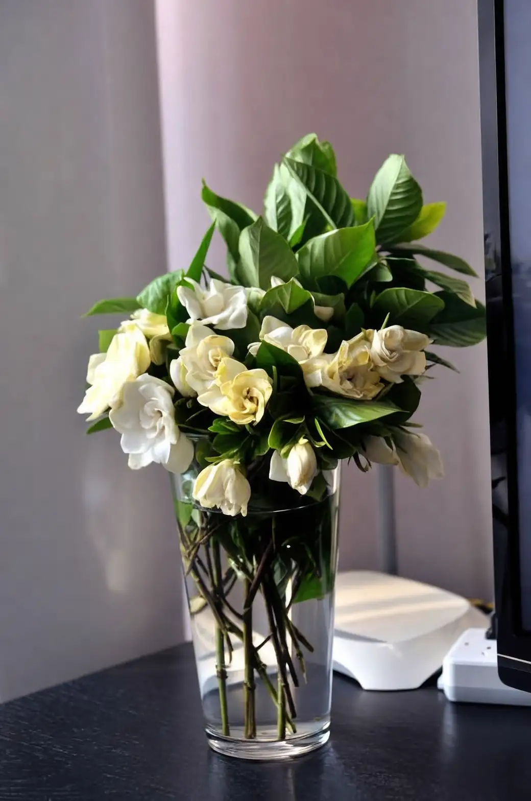 Interior Design with Gardenias: Transforming Spaces with Scent and Style