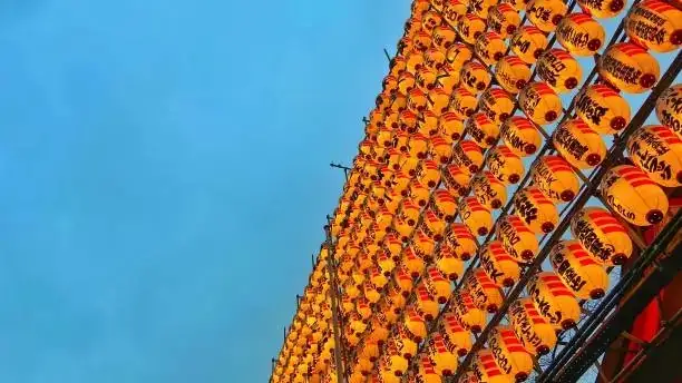 chrysanthemum festival Japan