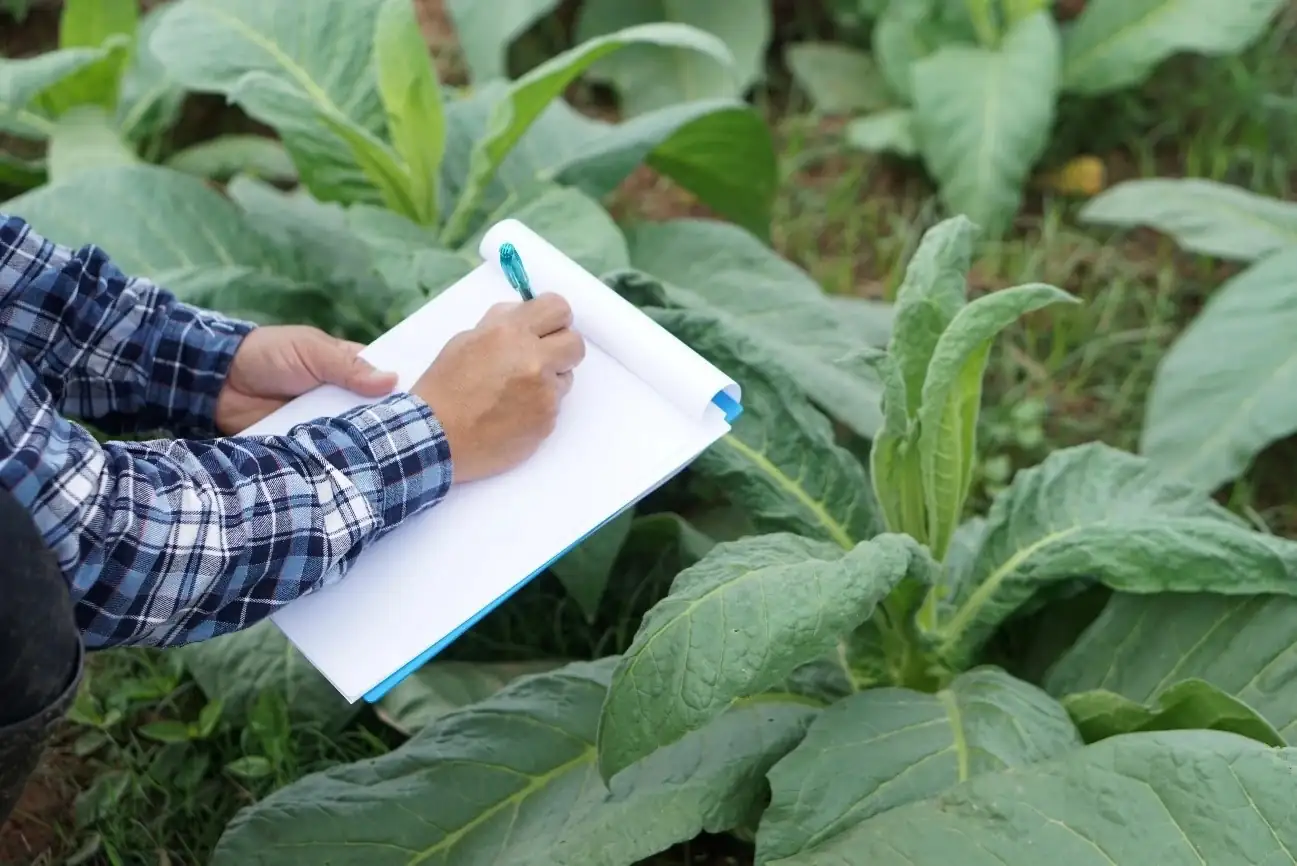 Cultivate Your Skills: Mastering the Art of Plant Growth Logging