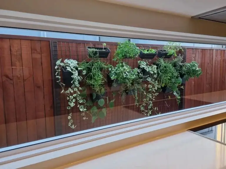 Bringing Green Into Any Space: Tailored Plant Care for Your Home’s Size