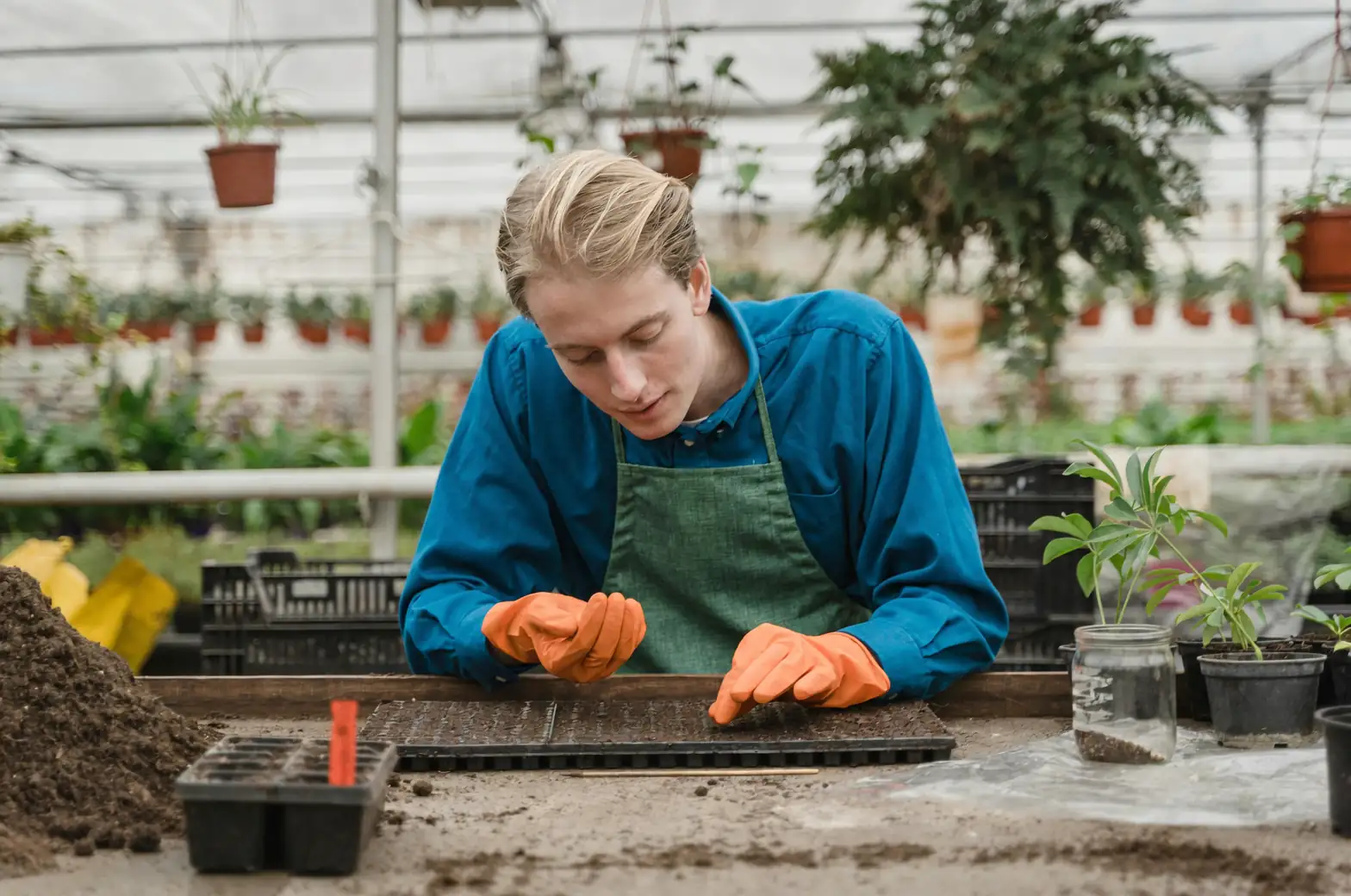 reading plant care blog on tablet