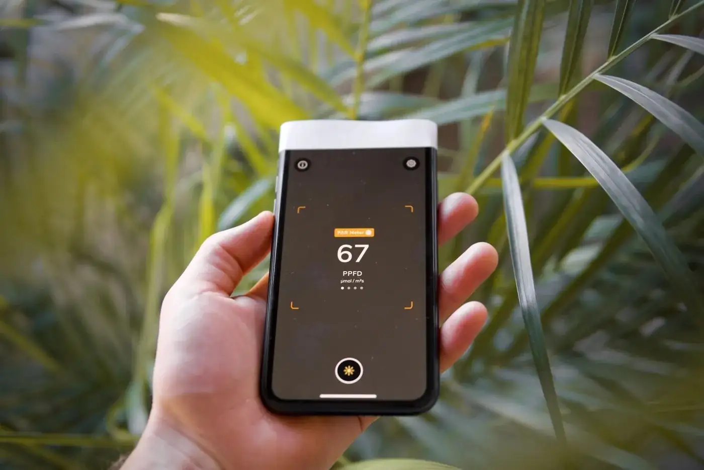 smartphone light meter app plant