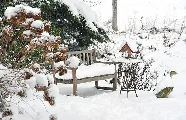 winter garden rest