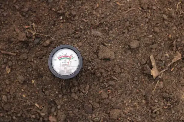 soil test kit gardening