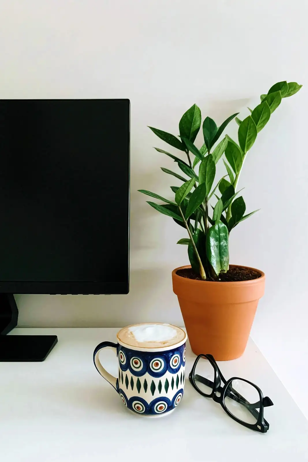 Green Your Workspace: A Guide to Selecting and Caring for Office Desk Plants