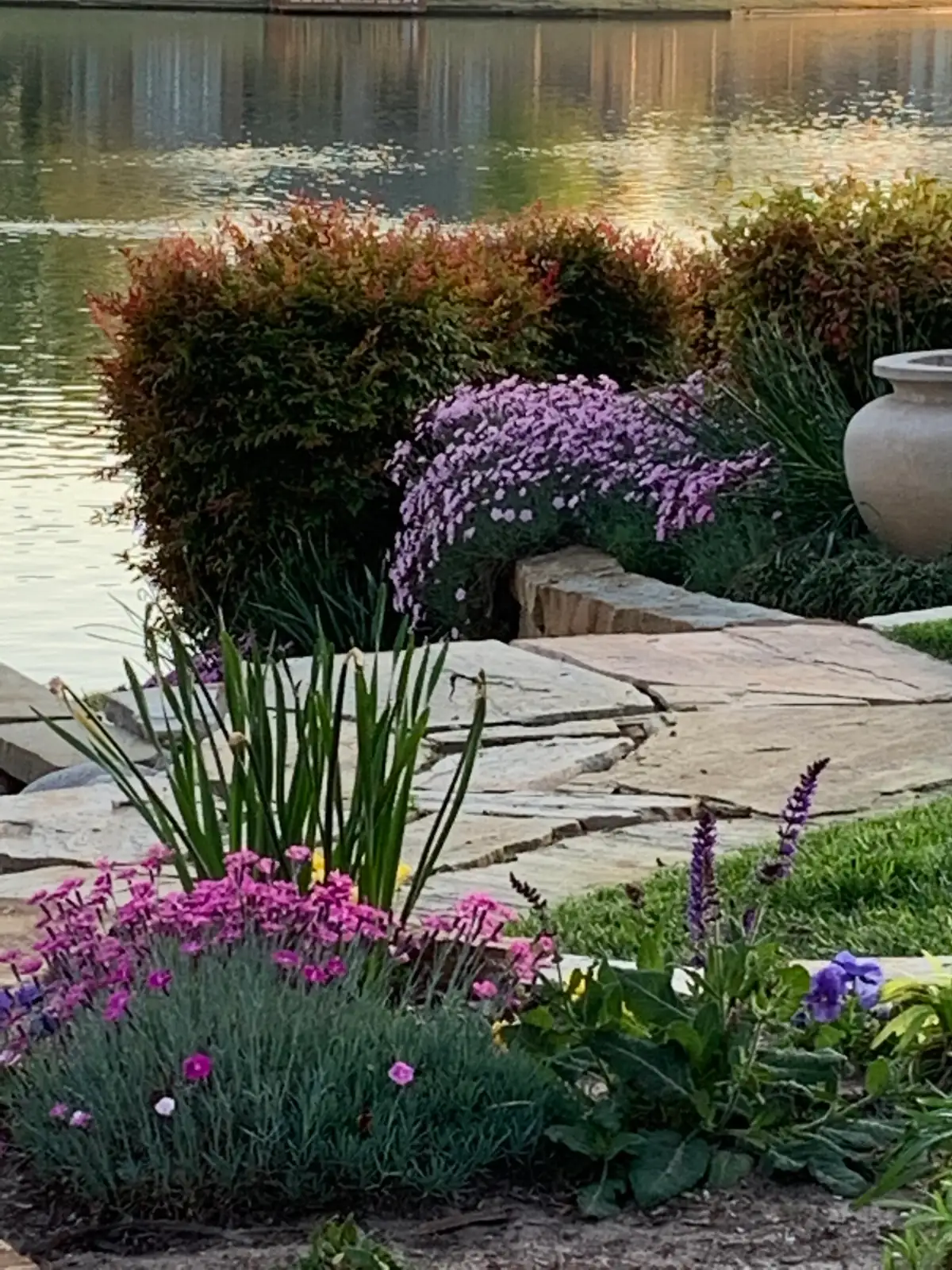 salvia dianthus garden bed