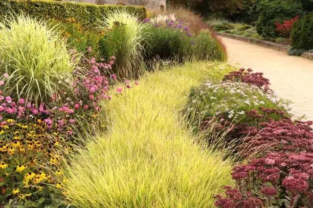 yucca with ornamental grasses