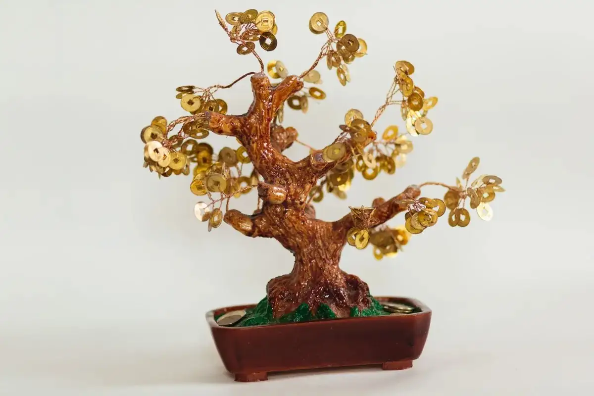 Unveiling the Mystique: Fun Facts About Your Money Tree