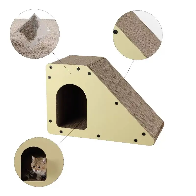 catnip in modern minimalist home