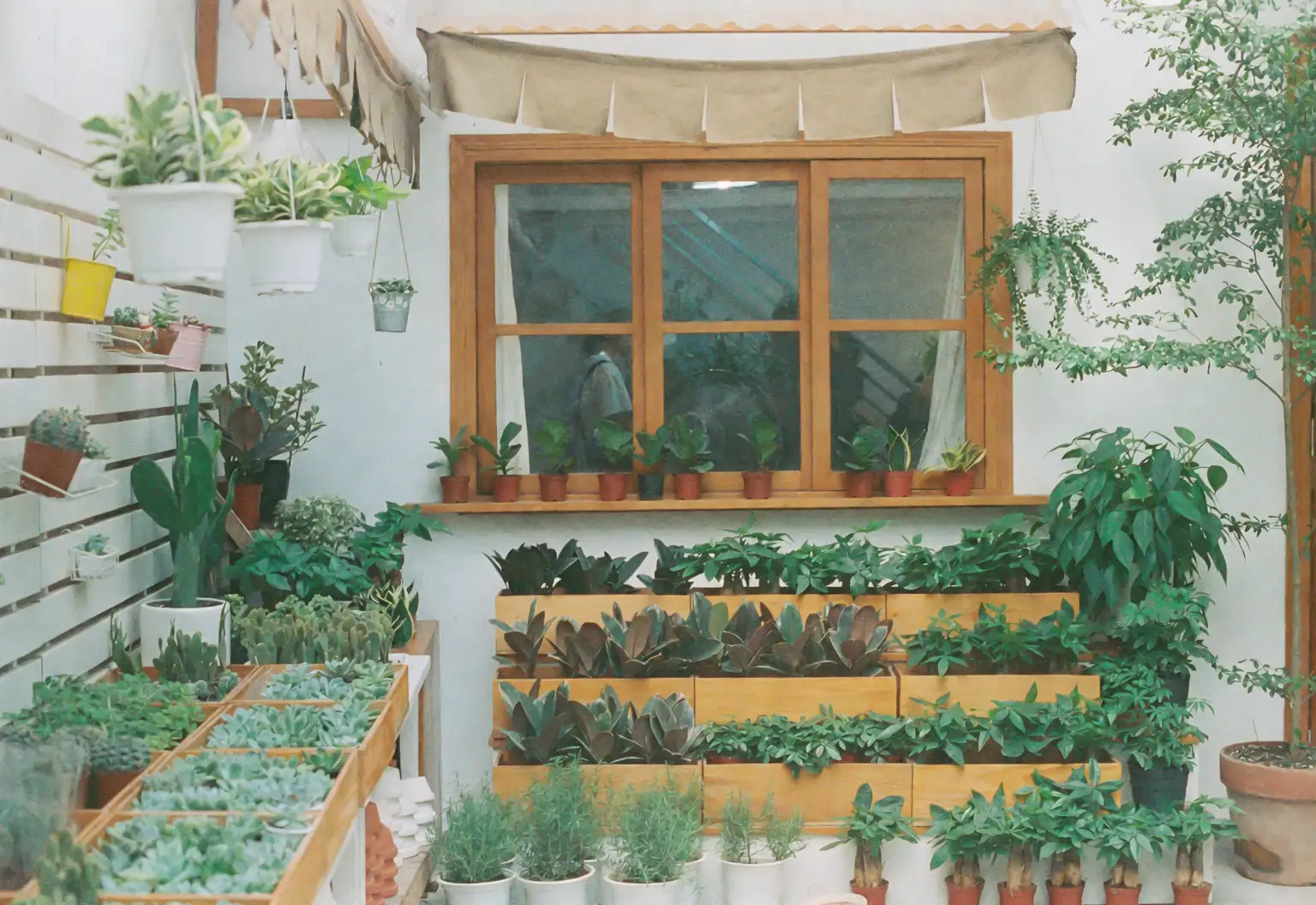 Indoor garden with natural elements