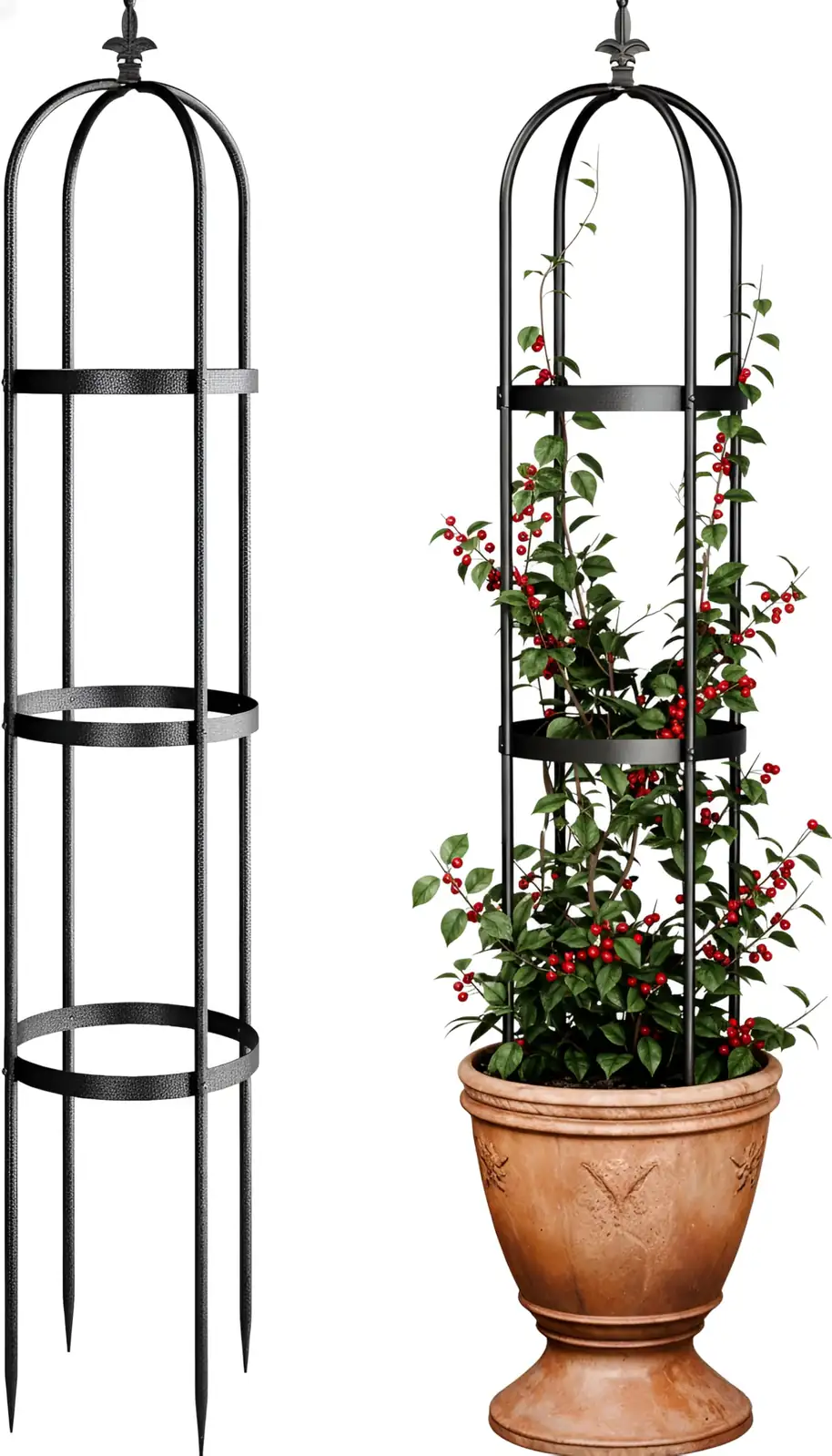 bougainvillea trellis garden design