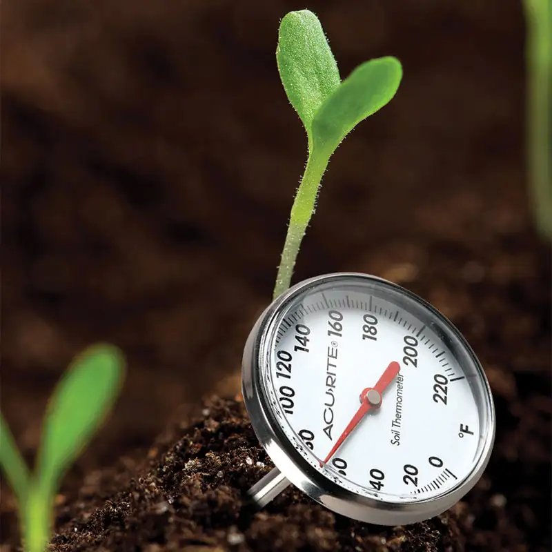 sunflower soil thermometer close-up