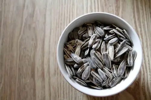 sunflower seeds in bowl close-up