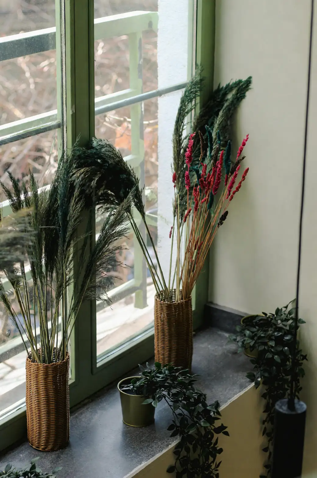 Stop Watering from the Top! The Bottom‑Watering Trick That Keeps Cyclamen Blooming for Weeks