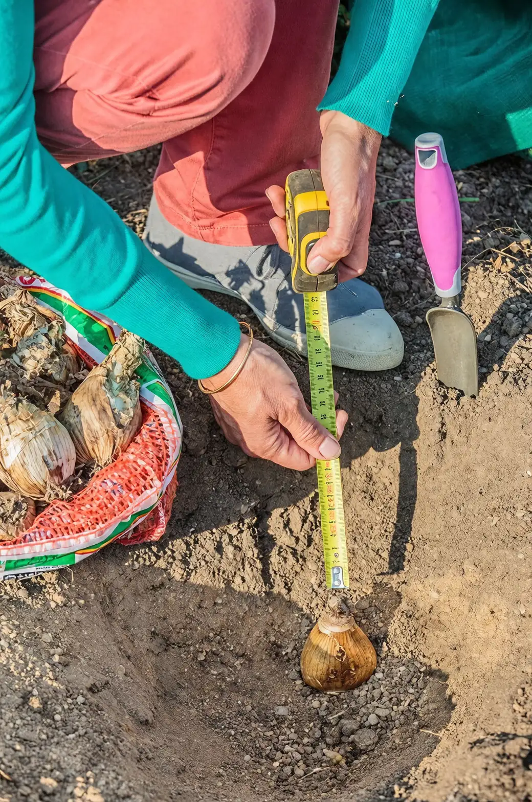 lily bulb planting depth