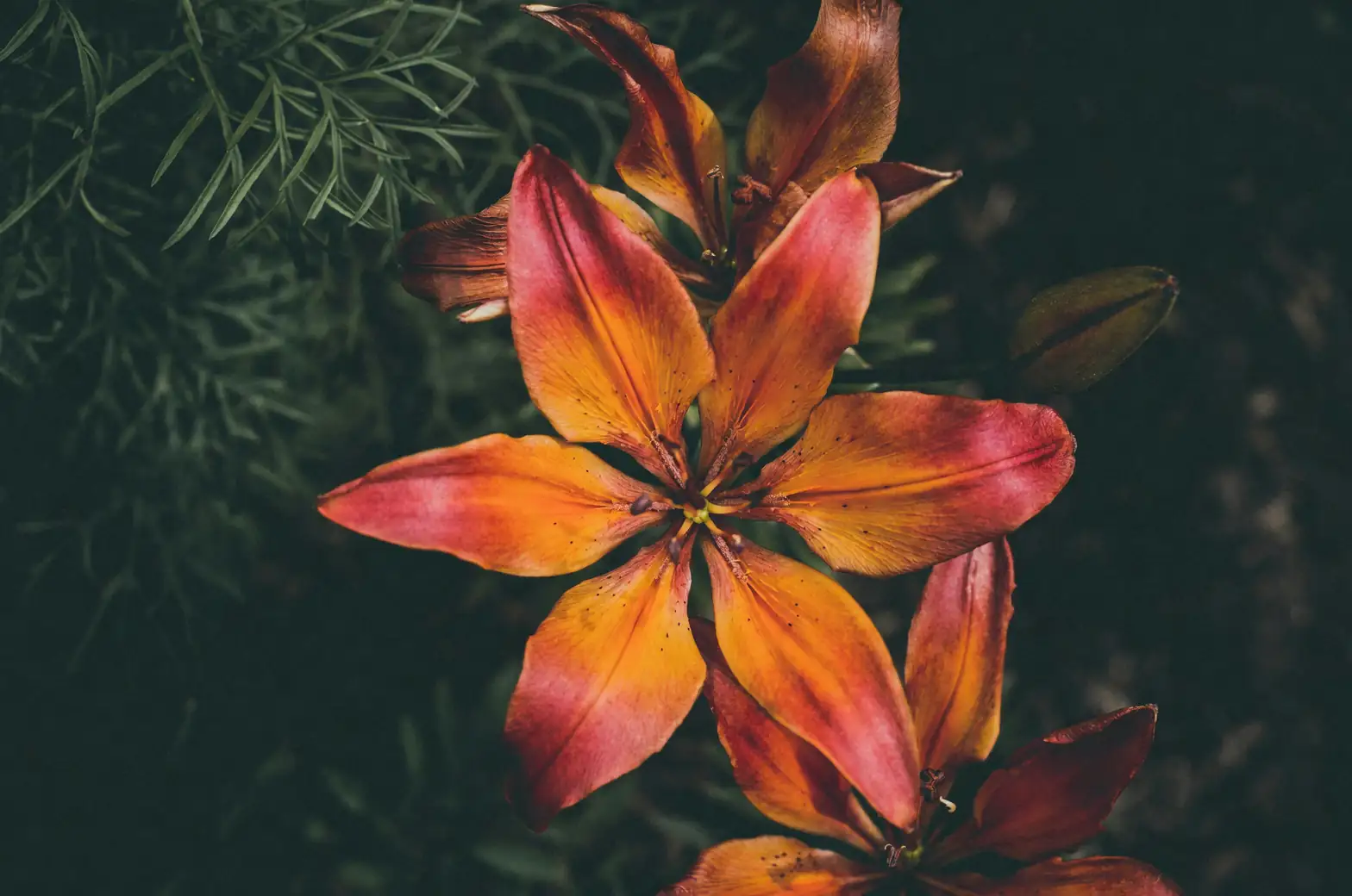 lily bouquet near fruit bowl