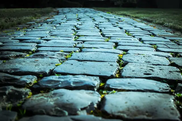A Lawn That Smells Like Apples? Designing a Roman Chamomile Walkway