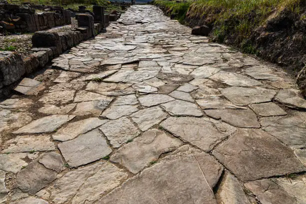 roman chamomile path drainage cross-section