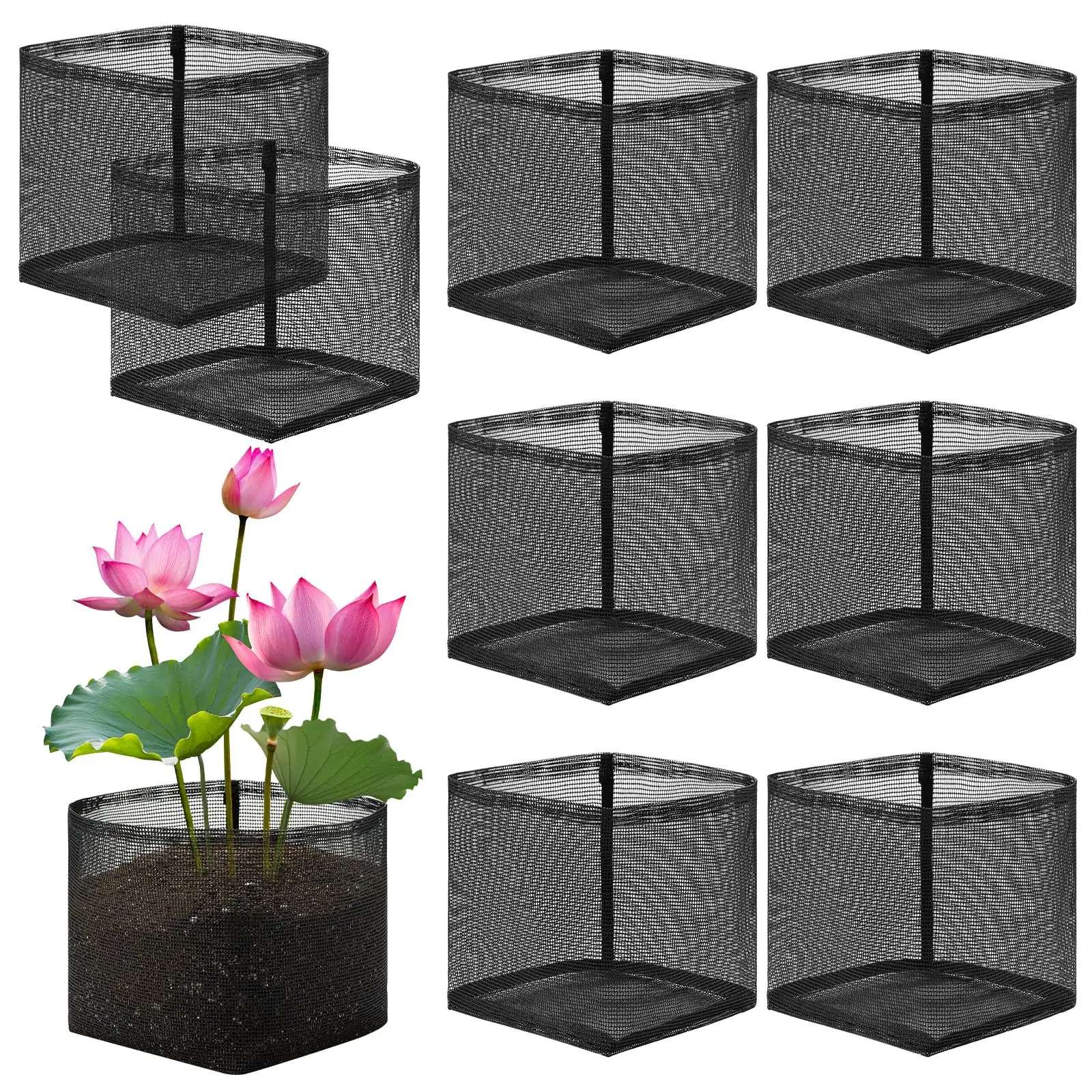 water lily planting basket pond