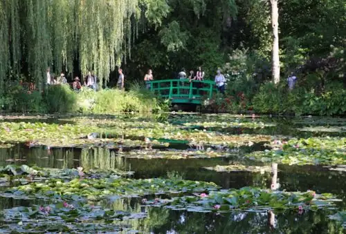 Monet water lily garden Giverny