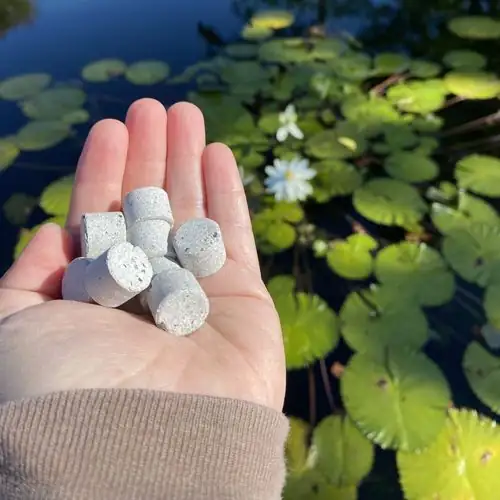 water lily fertilizer tablets roots