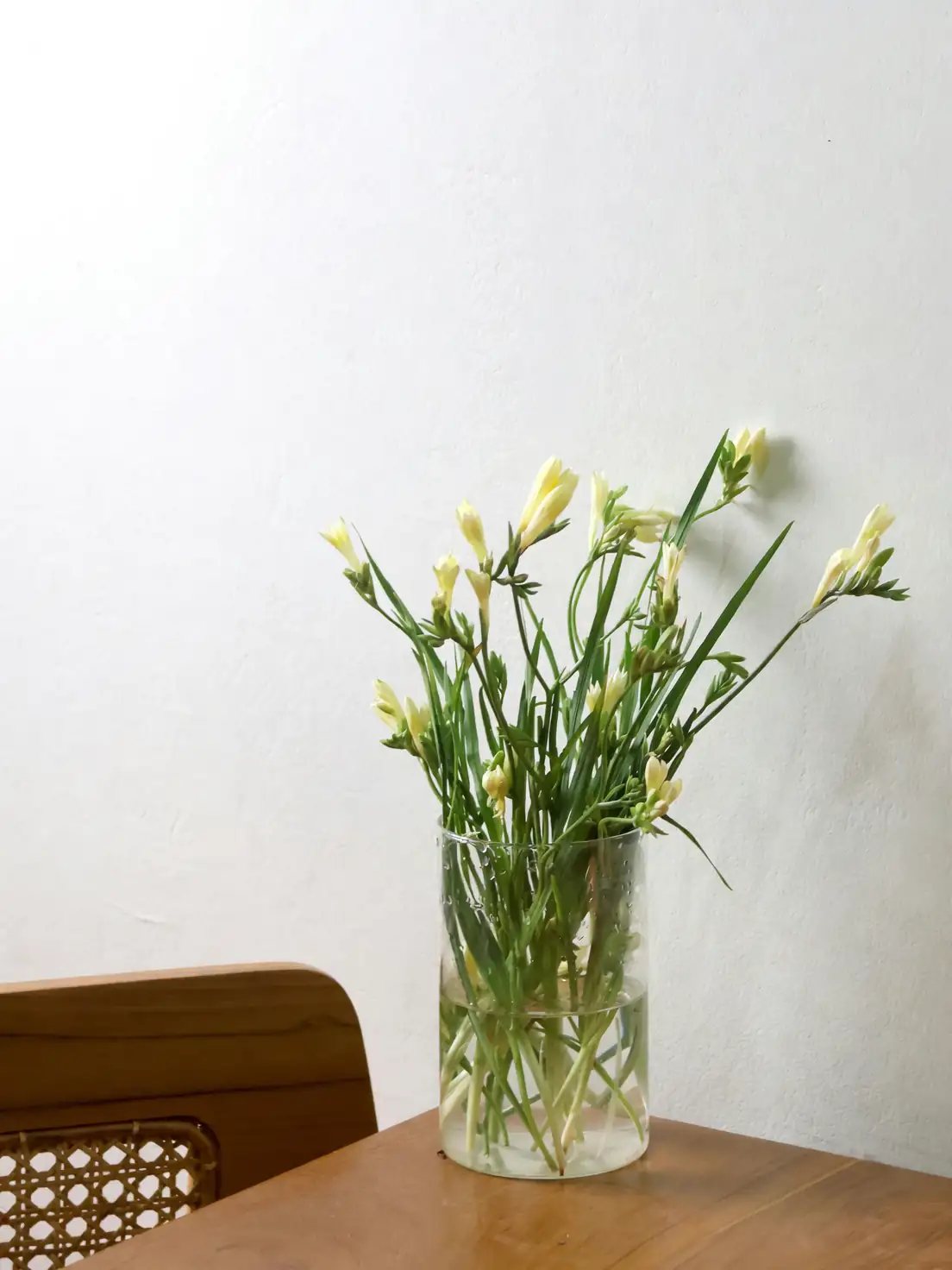 agapanthus cut flowers in vase