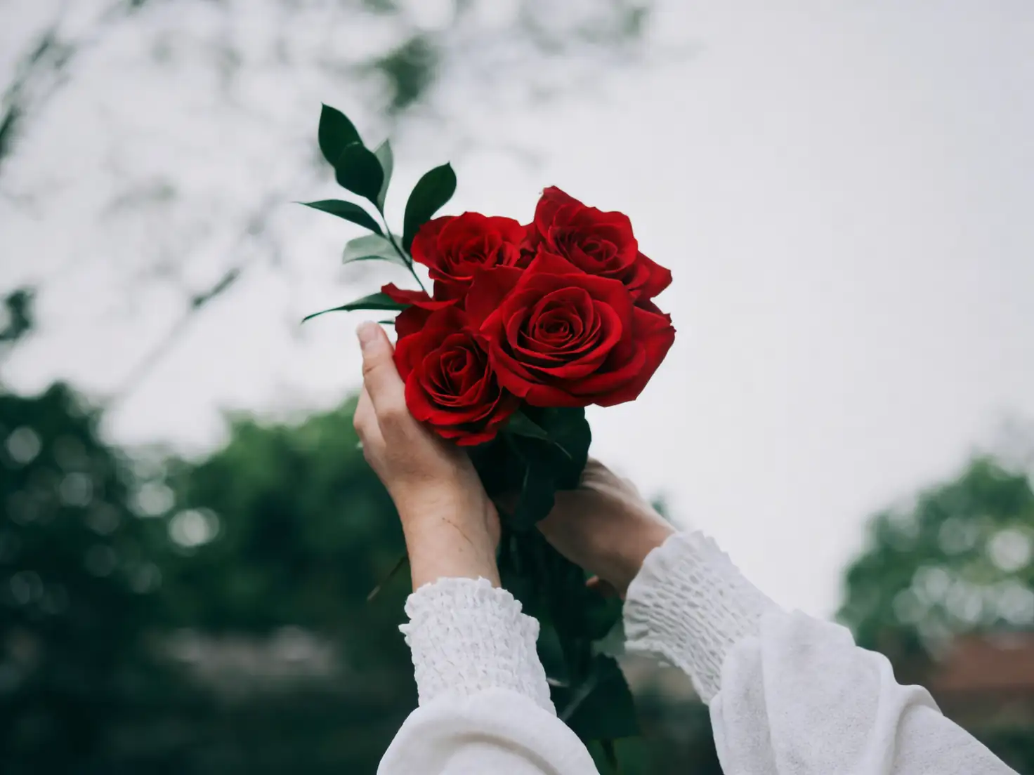 rugosa rose bouquet in hands