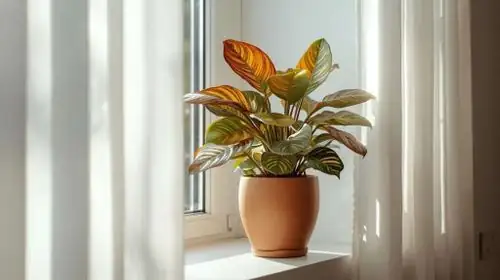 croton in bright bathroom