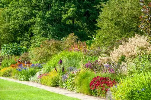 red hot poker English herbaceous border