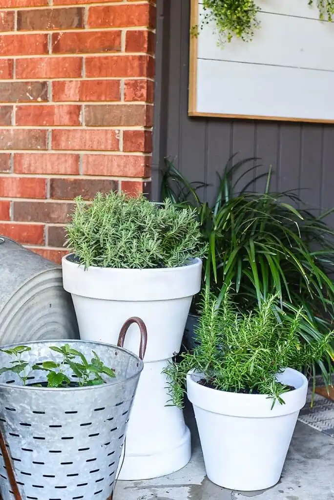white phlox front door planter
