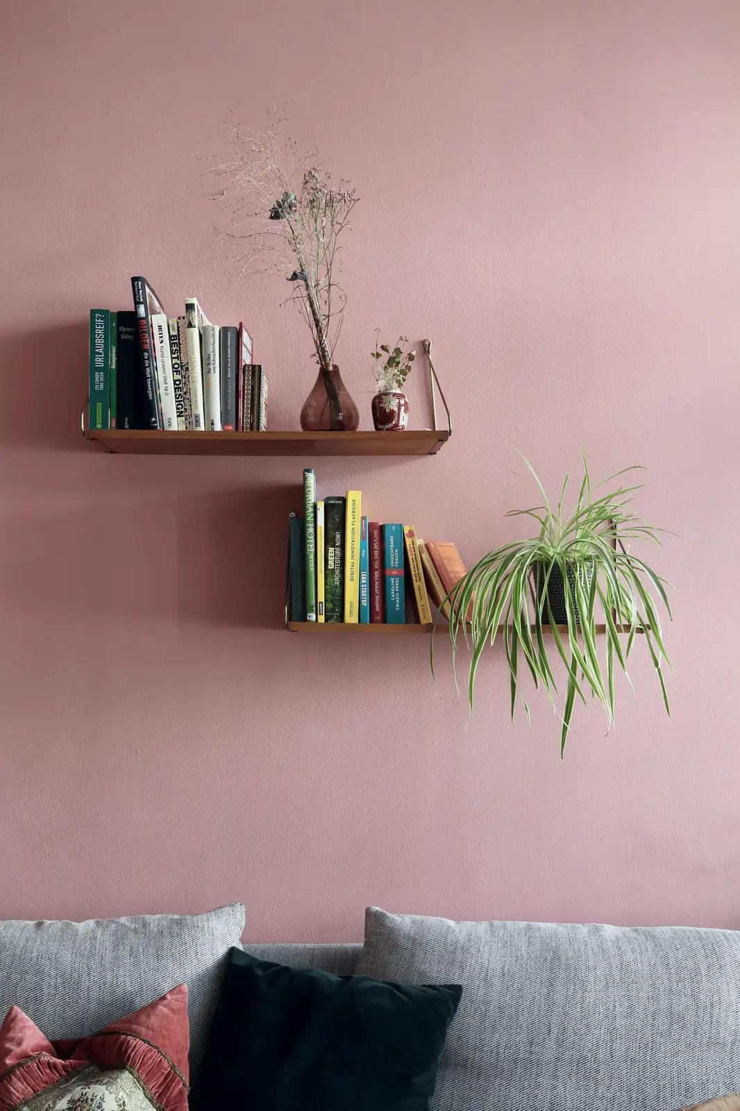 spider plant on bookshelf living room