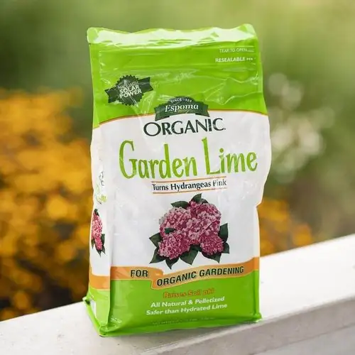 hydrangea dolomitic lime topdressing