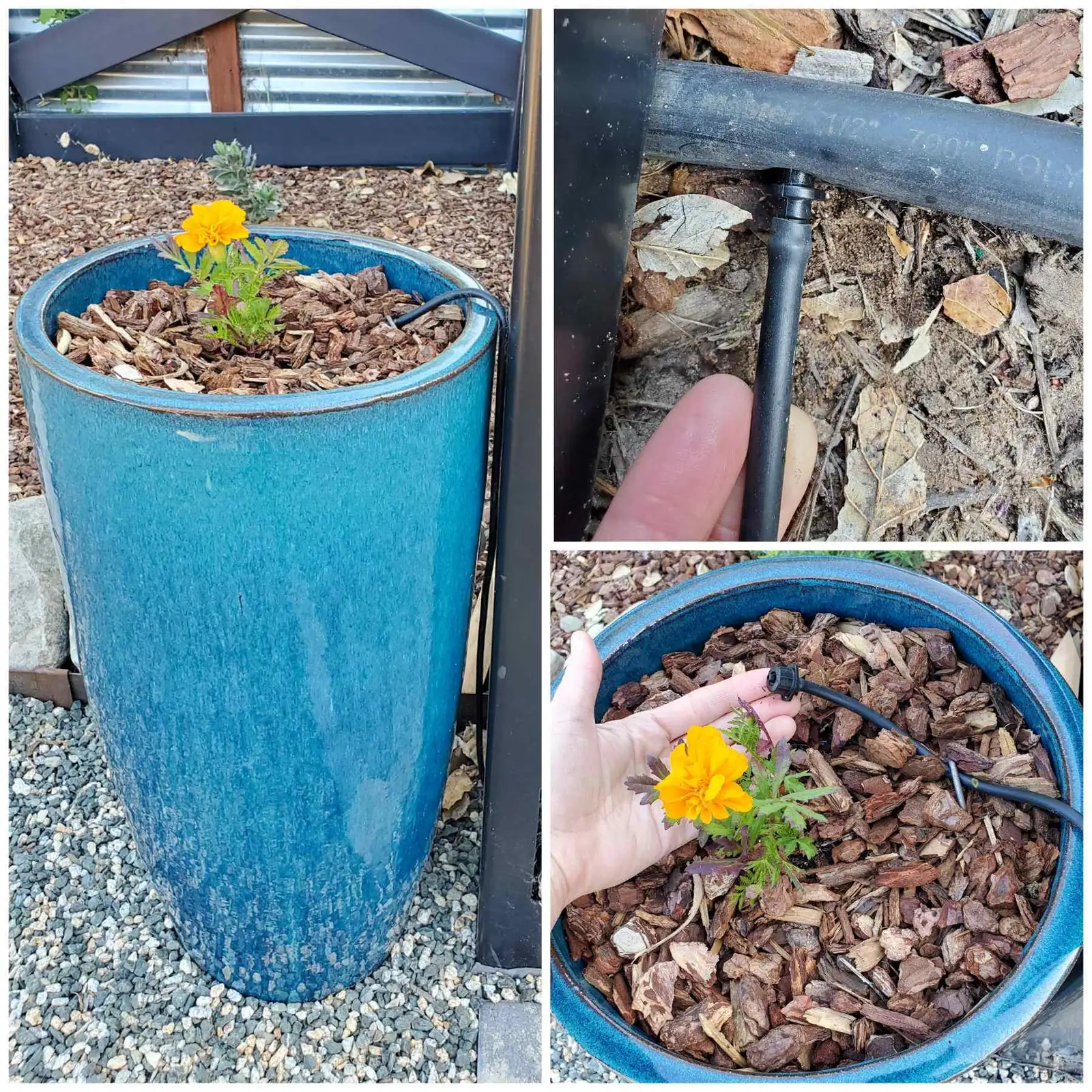 hydrangea pot drip irrigation emitters
