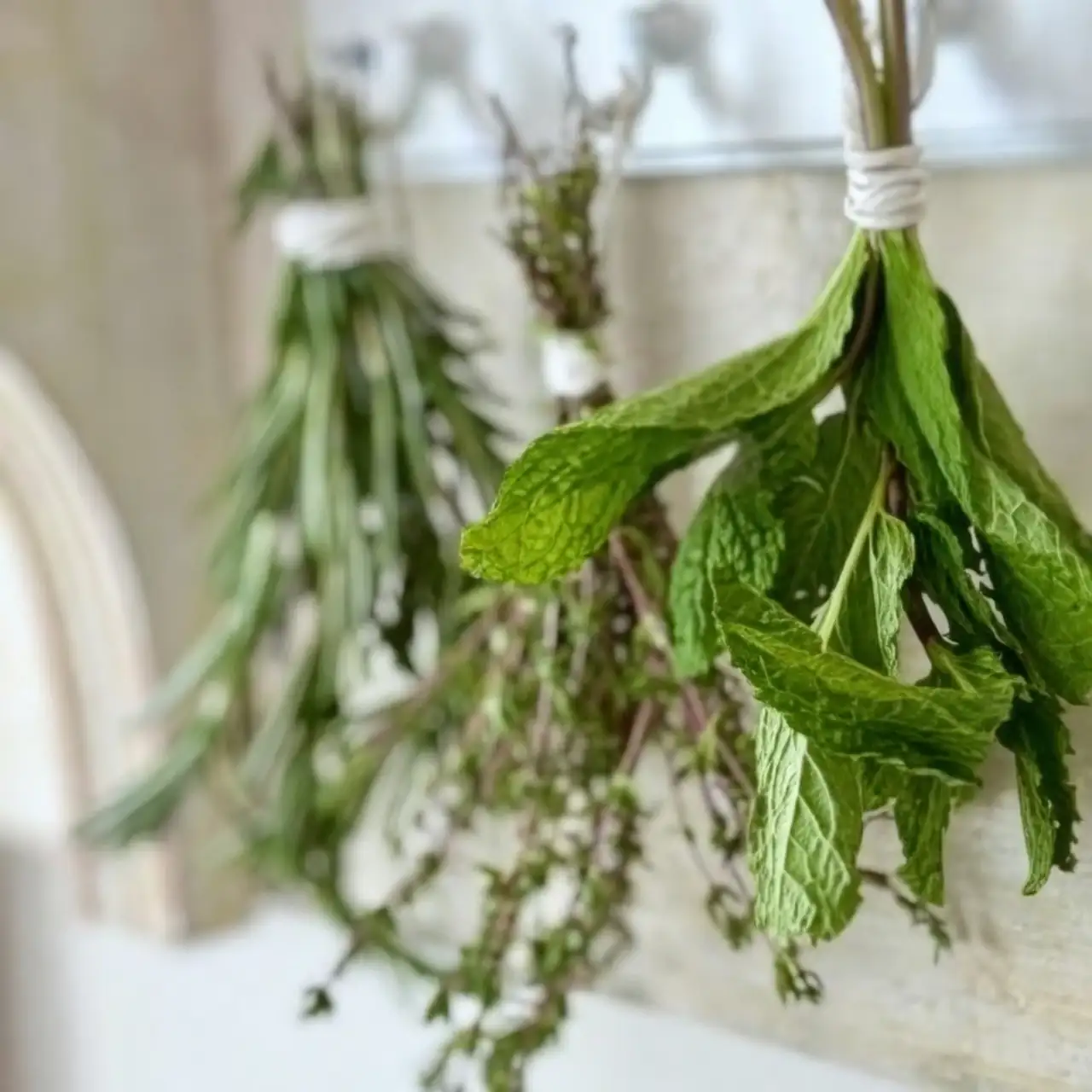sage drying bundles hanging pantry