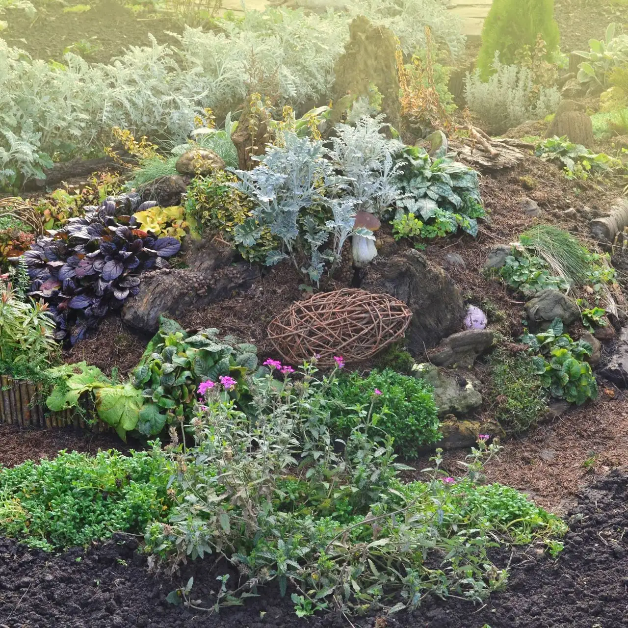 planting sage raised berm gravel