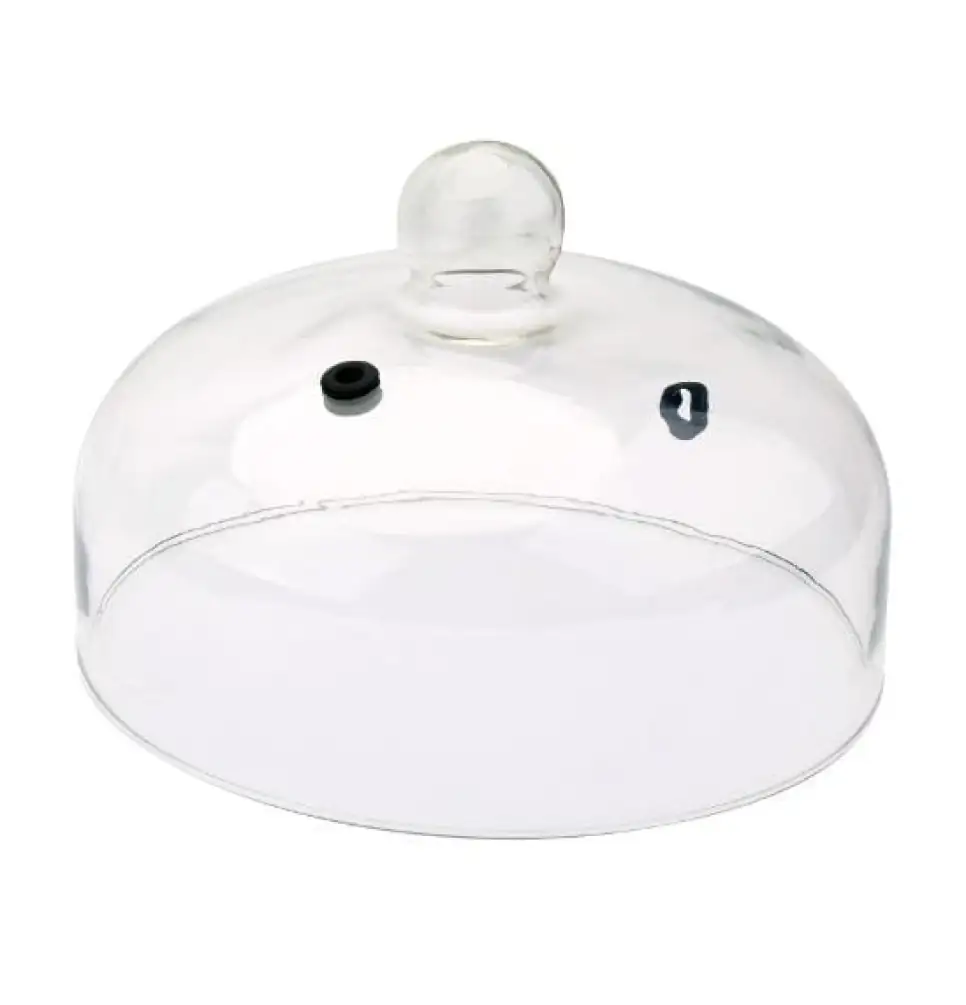 sage under clear cloche