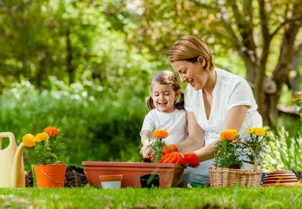 kids measuring sunflower garden