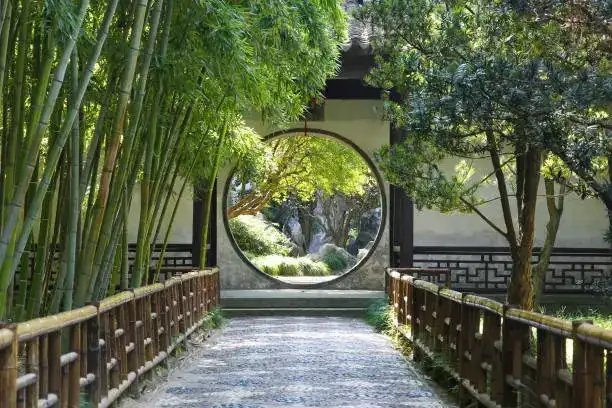 hydrangea macrophylla Chinese courtyard