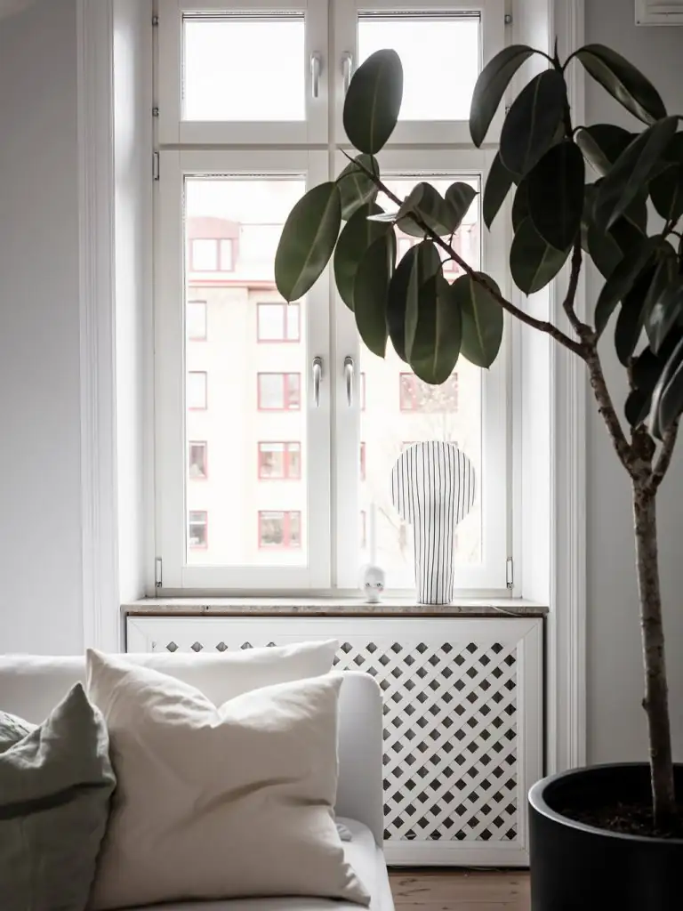 alocasia minimalist loft living room