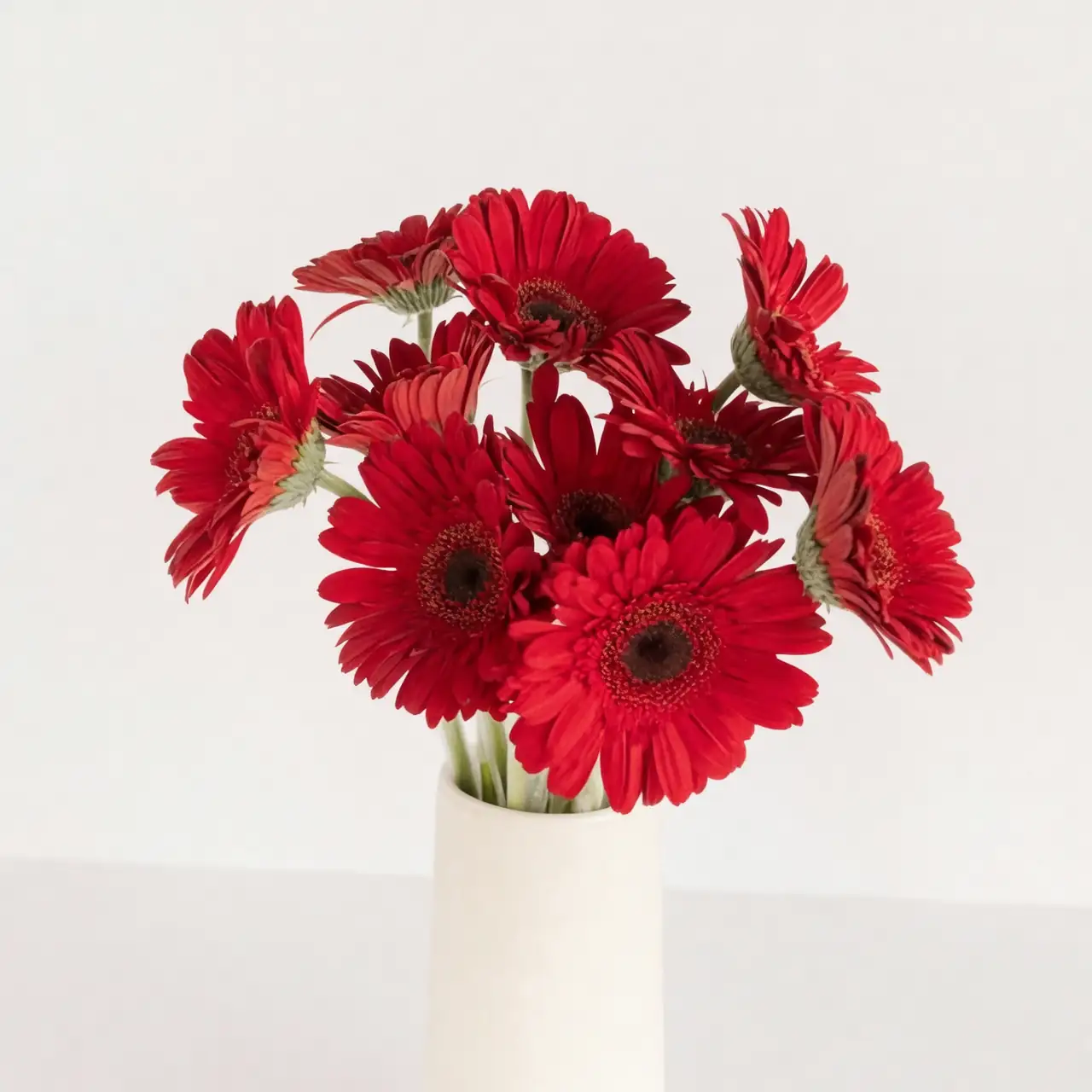 gerbera daisy vase shallow water