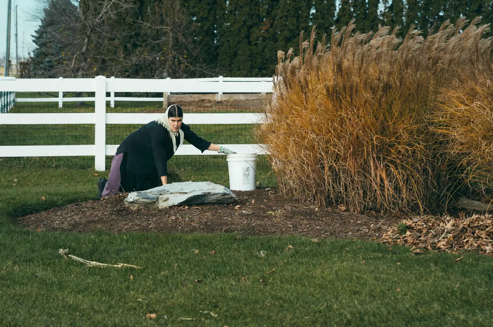 paperwhite gravel mulch raised berm