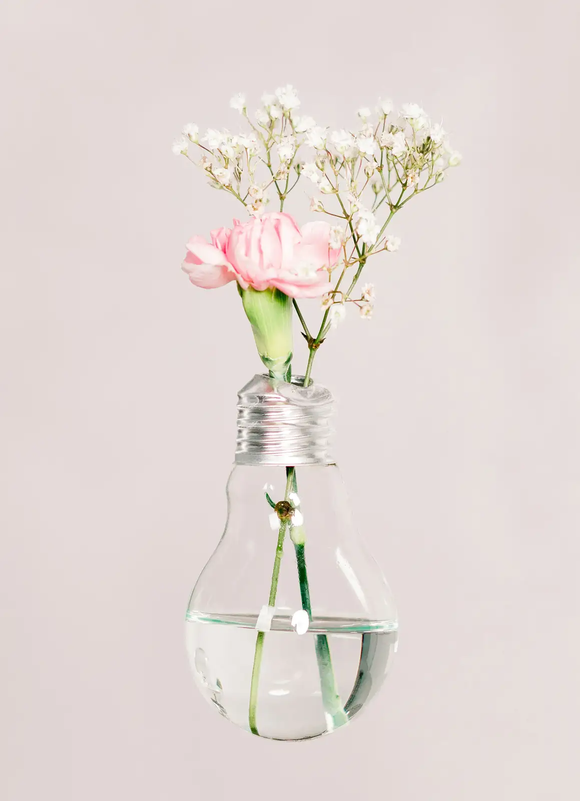 paperwhite bulbs pebbles glass bowl